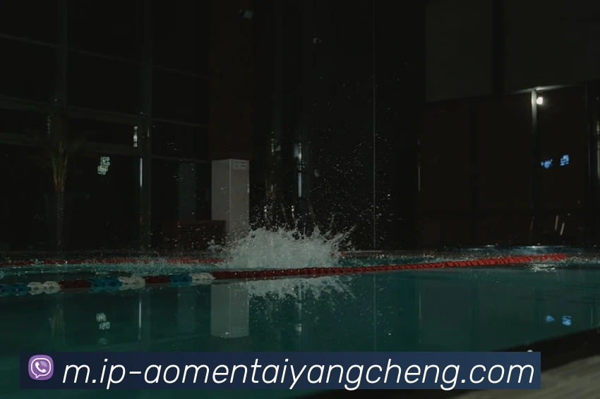 澳门太阳城网站平台生态图