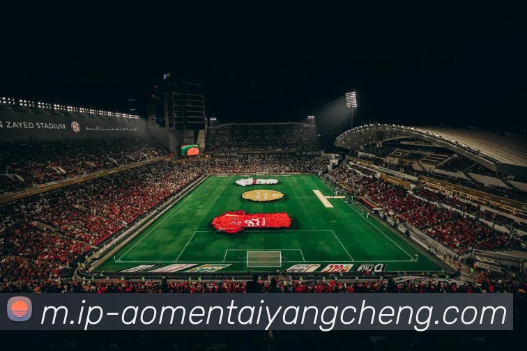 澳门太阳城网站APP 封面图